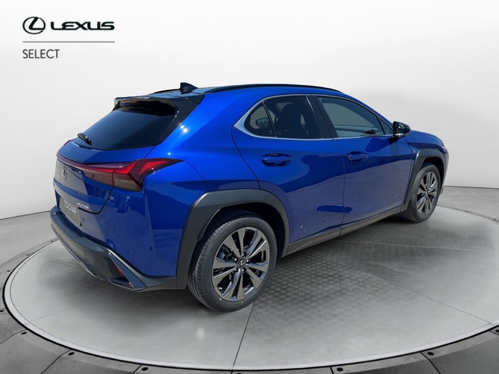 Lexus UX usata a Catania (3)