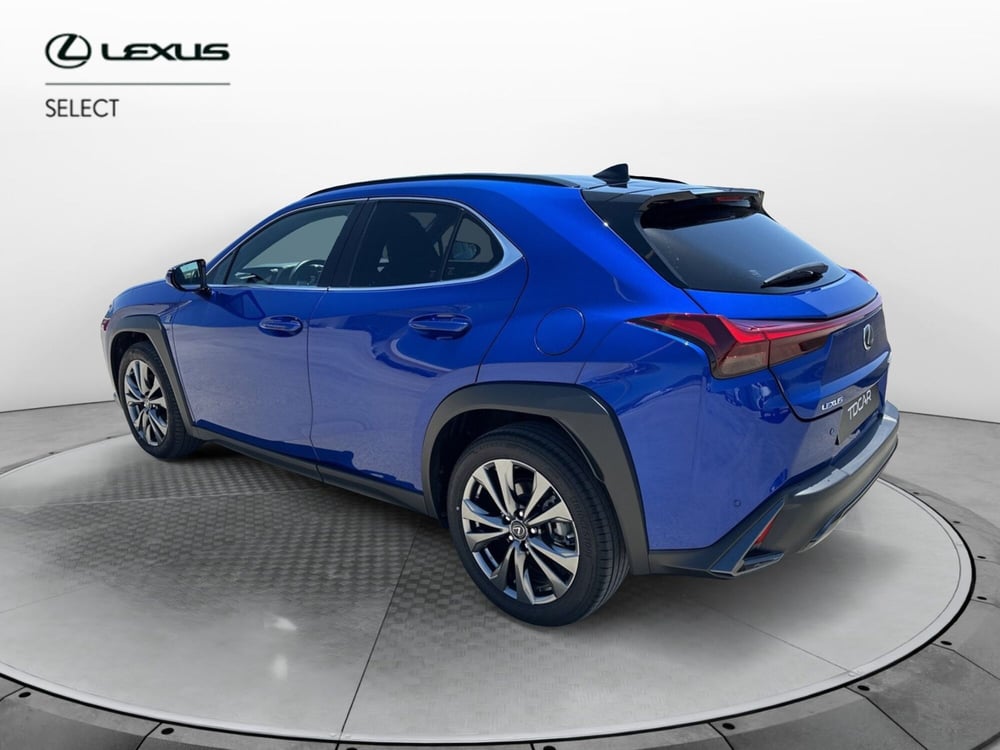 Lexus UX usata a Catania (4)