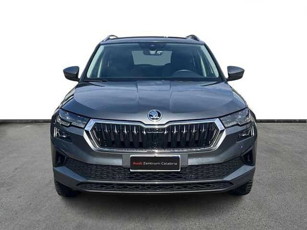 Skoda Karoq usata a Catanzaro (2)