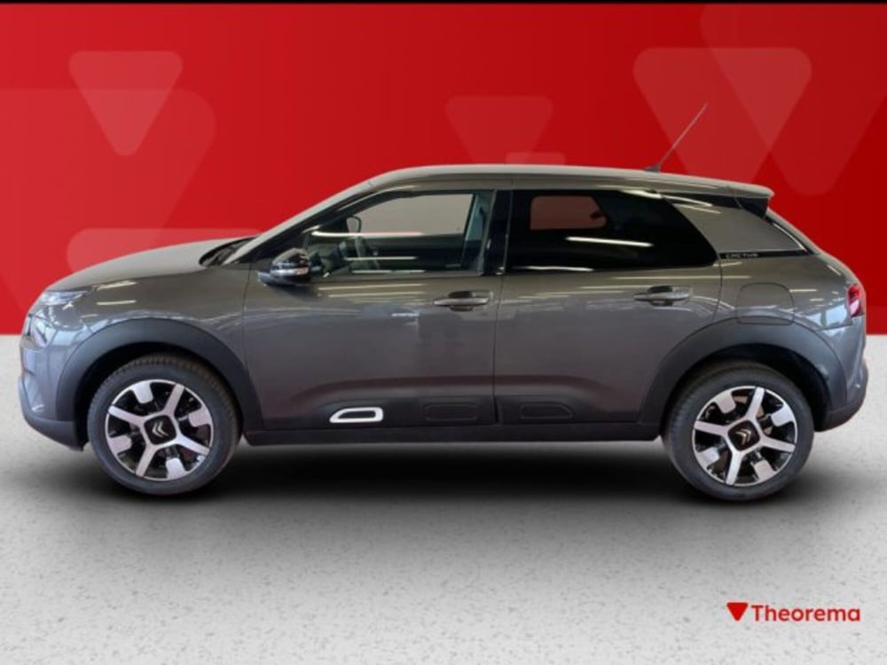 Citroen C4 Cactus usata a Torino (2)