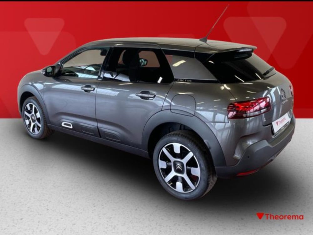 Citroen C4 Cactus usata a Torino (3)