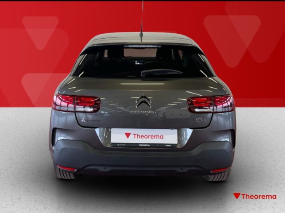 Citroen C4 Cactus usata a Torino (4)
