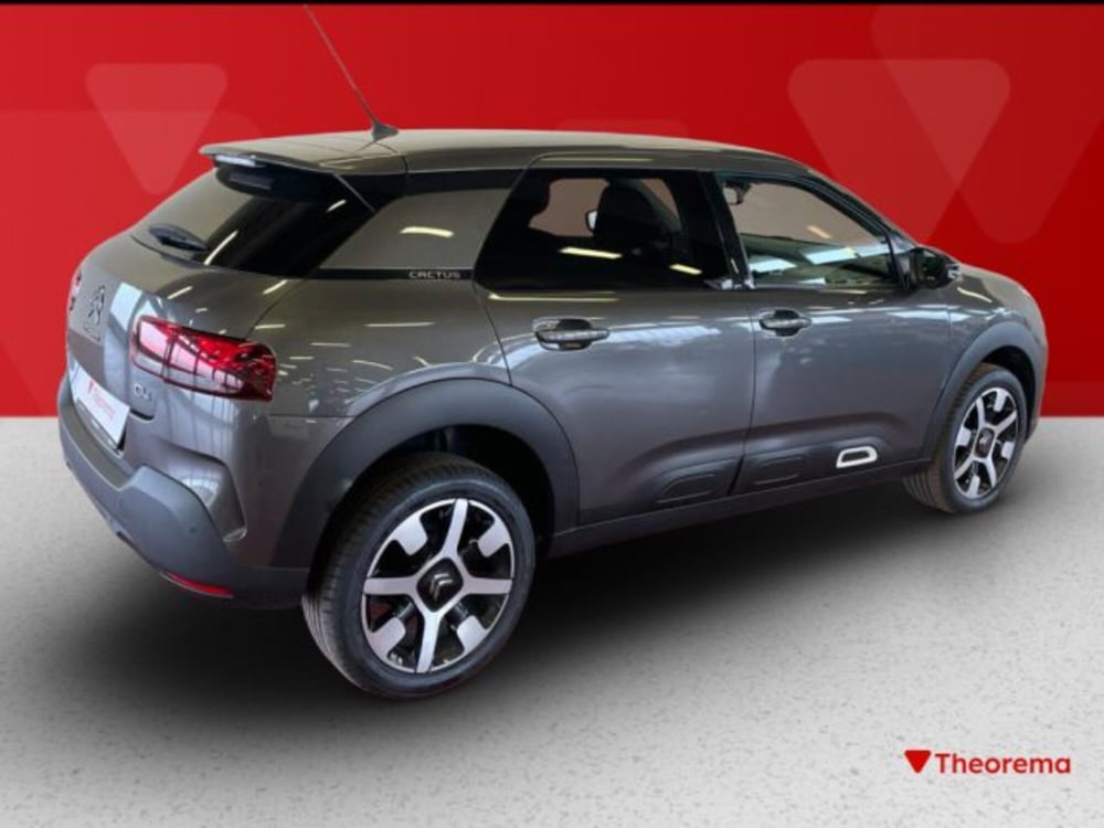 Citroen C4 Cactus usata a Torino (5)
