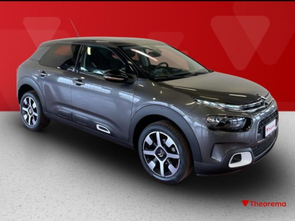 Citroen C4 Cactus usata a Torino (7)