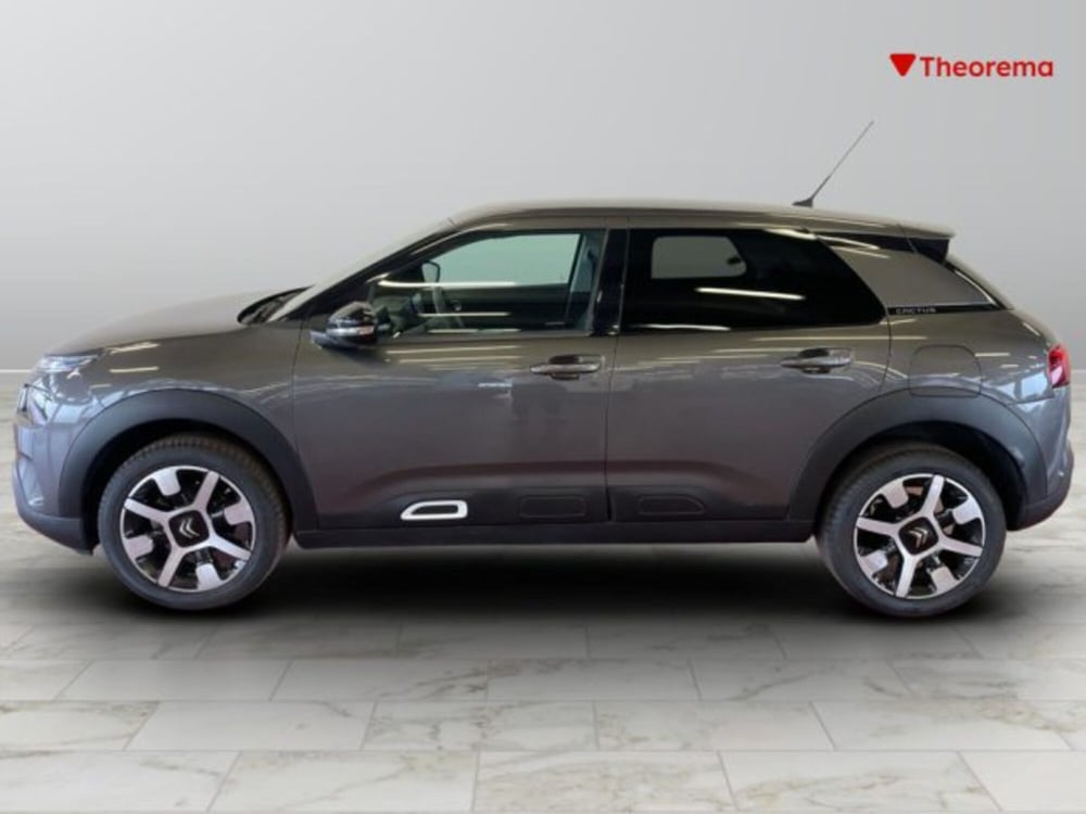 Citroen C4 Cactus usata a Torino (2)