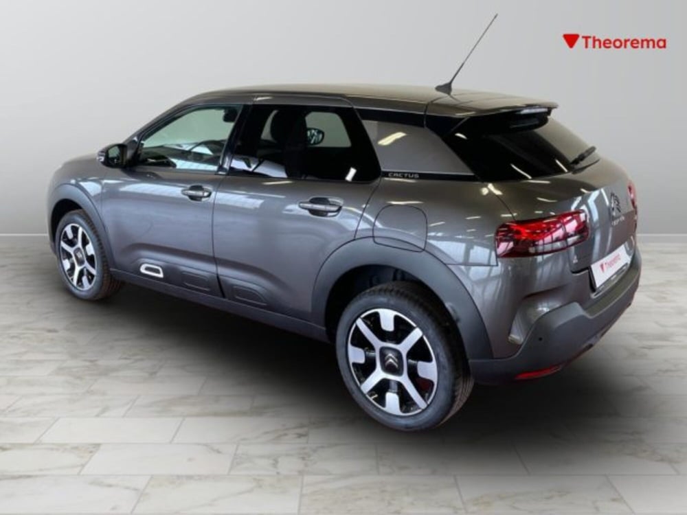 Citroen C4 Cactus usata a Torino (3)