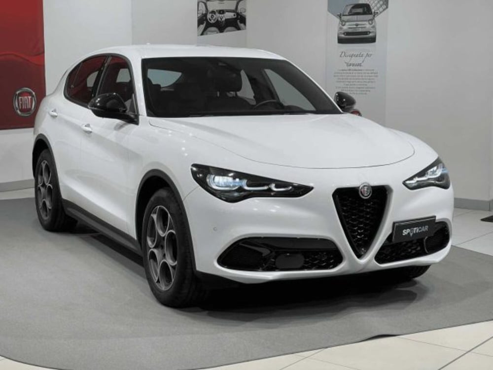 Alfa Romeo Stelvio usata a Sondrio (7)