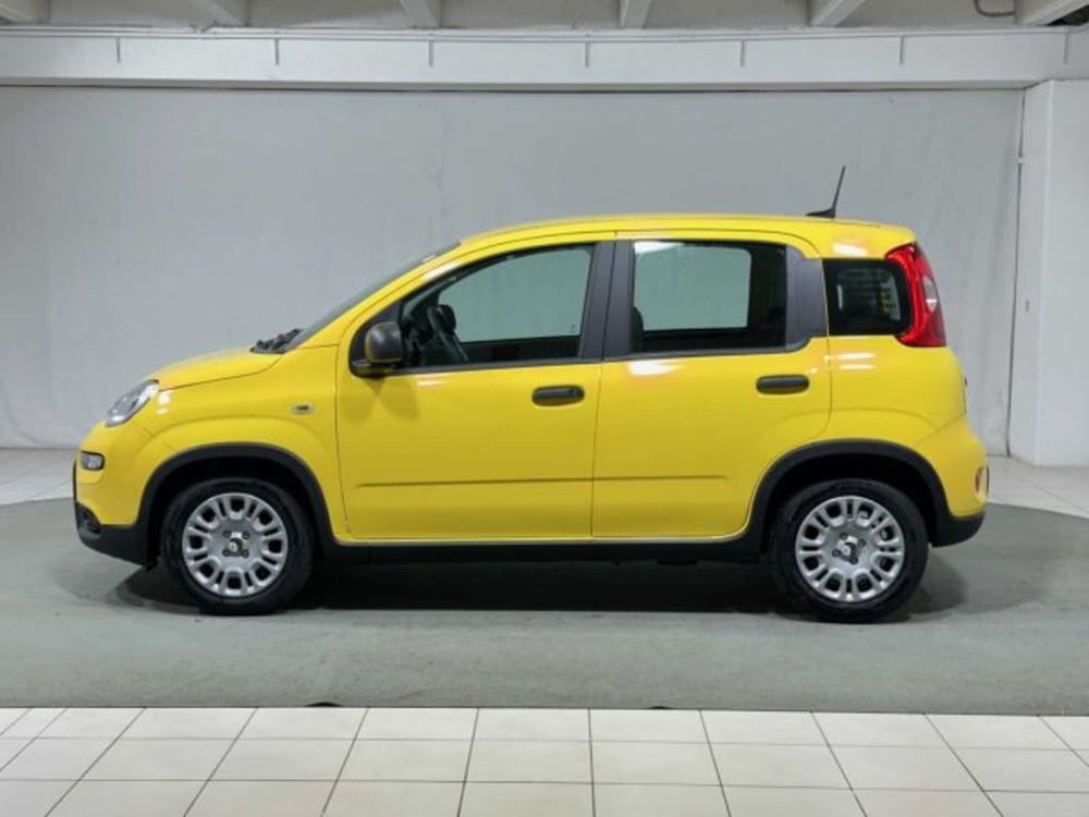 Fiat Panda nuova a Sondrio (2)