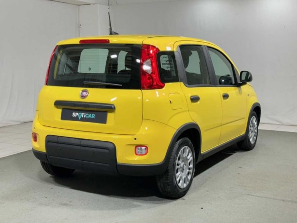 Fiat Panda nuova a Sondrio (5)