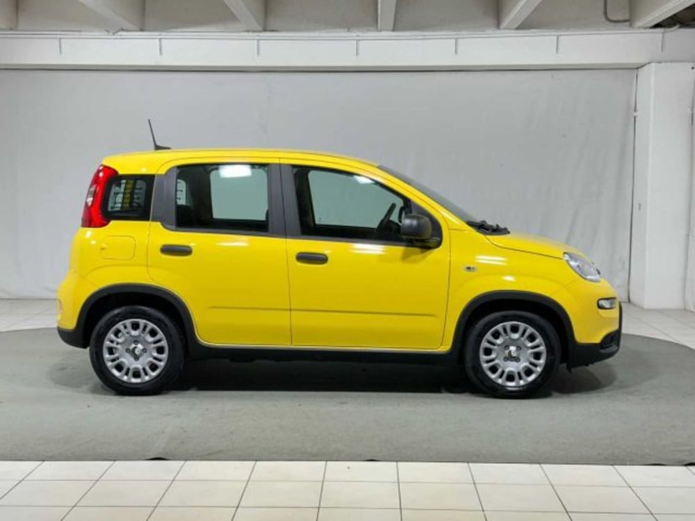 Fiat Panda nuova a Sondrio (6)