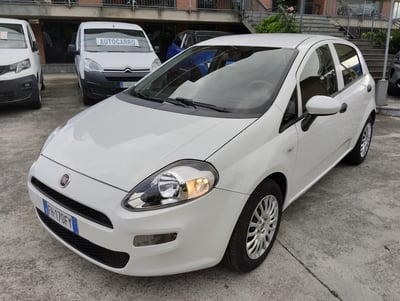 Fiat Punto 1.3 MJT II S&amp;S 95 CV 3 porte Street del 2017 usata a Canelli