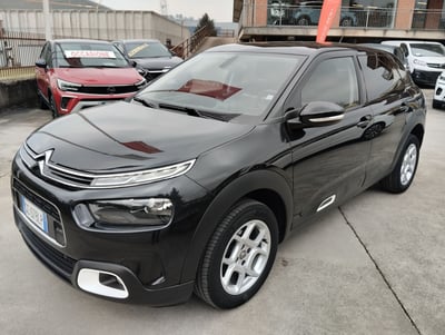 Citroen C4 Cactus BlueHDi 100 S&amp;S Shine  del 2020 usata a Canelli