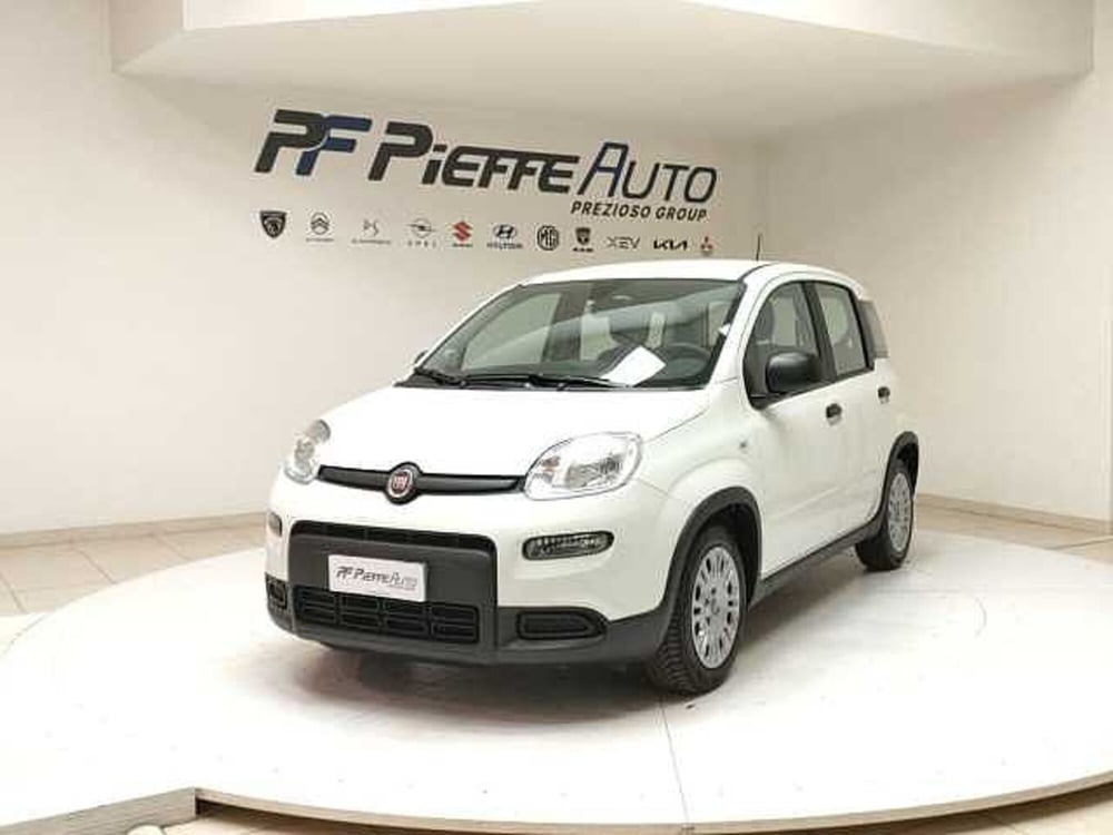 Fiat Panda usata a Teramo