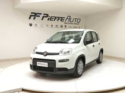 Fiat Panda 1.0 firefly hybrid s&amp;s 70cv 5p.ti del 2023 usata a Teramo