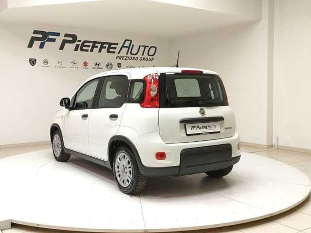 Fiat Panda usata a Teramo (3)