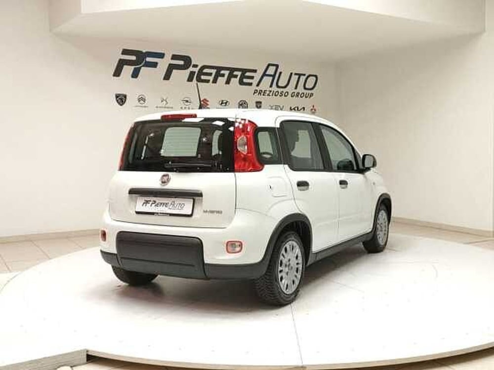 Fiat Panda usata a Teramo (4)