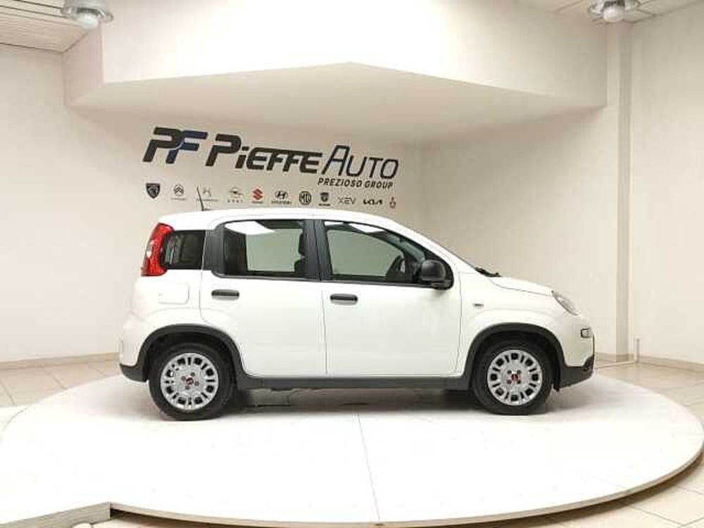 Fiat Panda usata a Teramo (5)