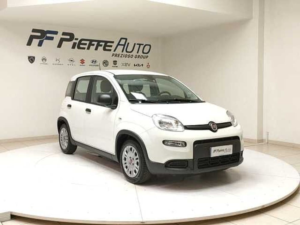 Fiat Panda usata a Teramo (6)