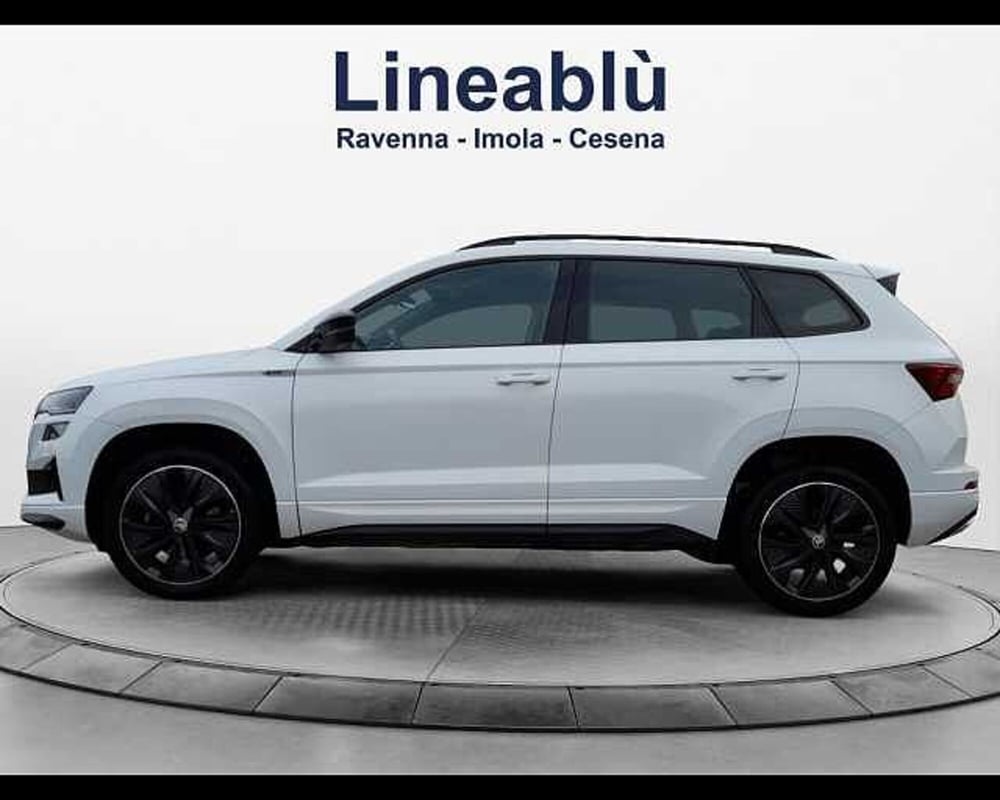 Skoda Karoq usata a Ravenna (2)