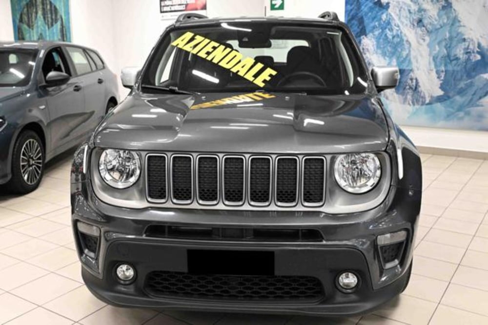 Jeep Renegade usata a Torino (2)