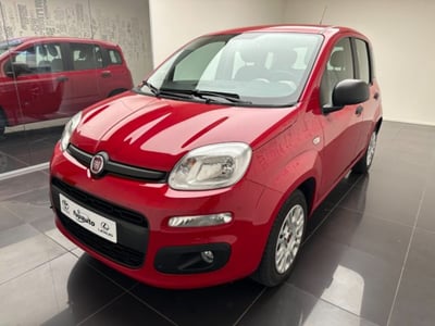 Fiat Panda 1.2 Lounge  del 2016 usata a Cuneo