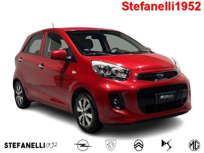 Kia Picanto 1.0 12V EcoGPL 5 porte Active Collection del 2017 usata a Bologna