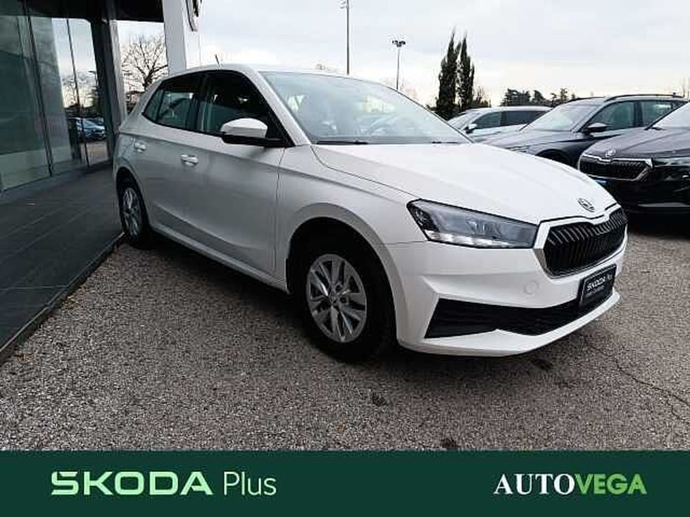 Skoda Fabia usata a Vicenza (3)