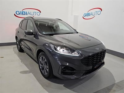 Ford Kuga 1.5 EcoBlue 120 CV 2WD ST-Line  del 2021 usata a Palermo