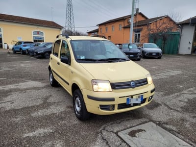 Fiat Panda 1.2 4x4 Van Active 2 posti  del 2006 usata a Bologna