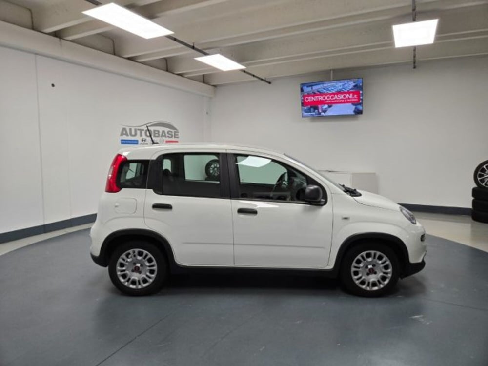 Fiat Panda usata a Brescia (6)