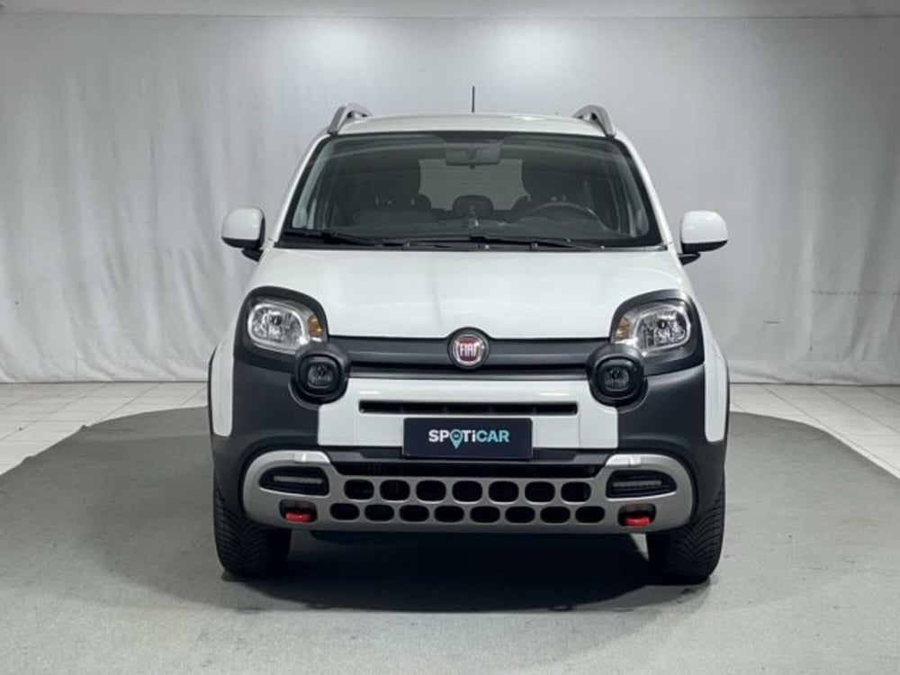 Fiat Panda Cross usata a Sondrio (8)