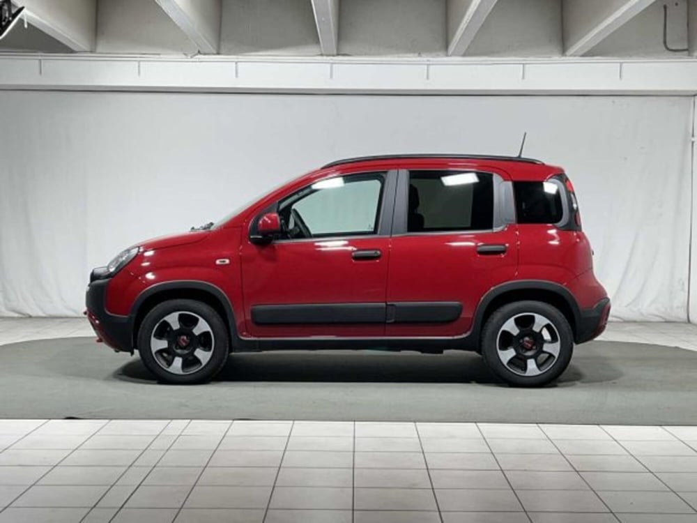 Fiat Panda Cross usata a Sondrio (2)