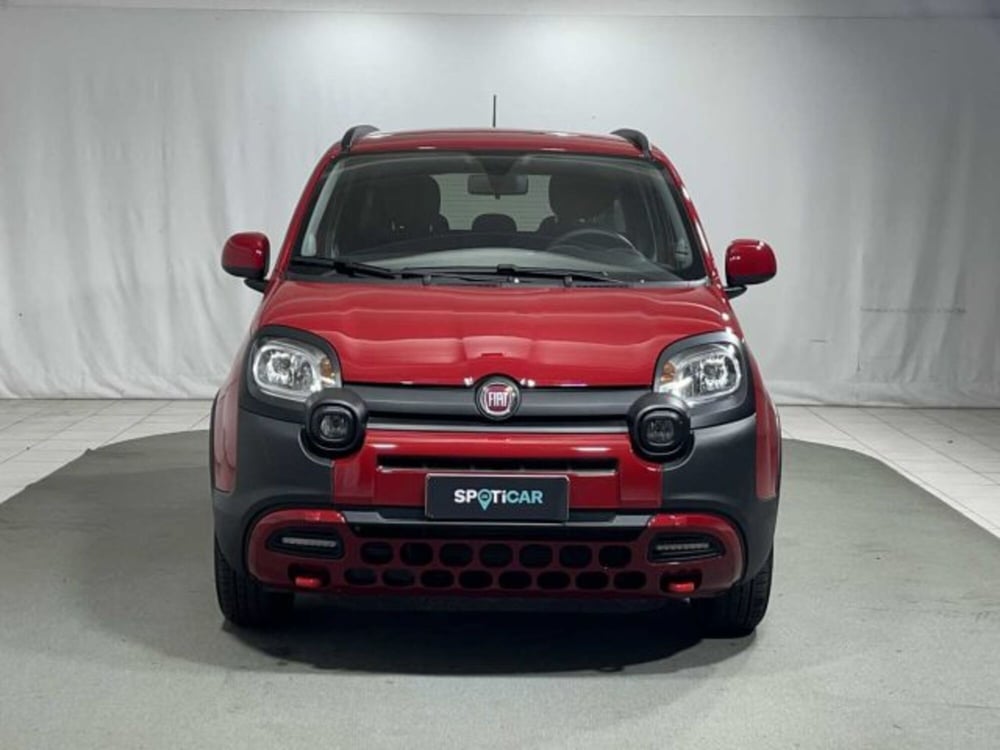 Fiat Panda Cross usata a Sondrio (8)