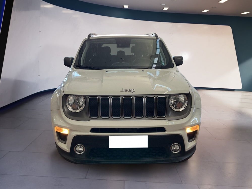 Jeep Renegade usata a Torino