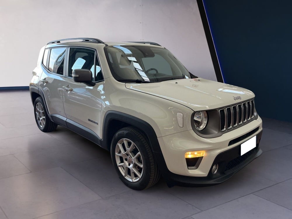 Jeep Renegade usata a Torino (3)