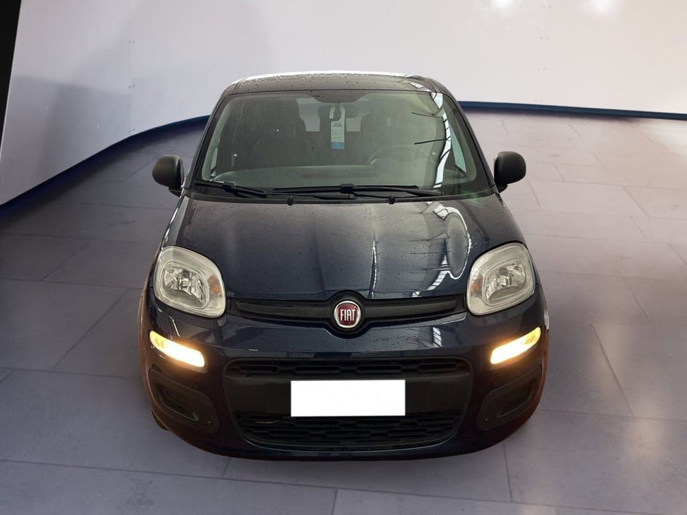 Fiat Panda usata a Torino