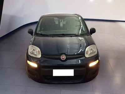 Fiat Panda 1.2 Lounge  del 2019 usata a Torino