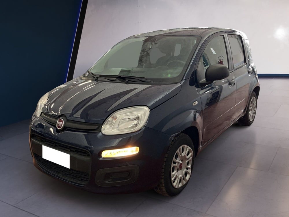 Fiat Panda usata a Torino (2)