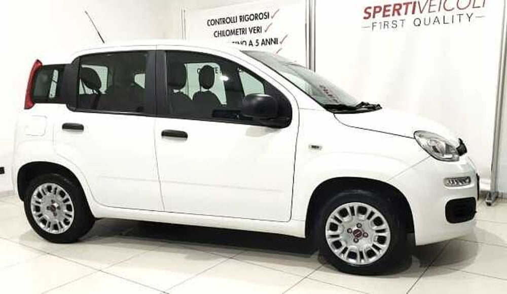 Fiat Panda usata a Lecce (2)