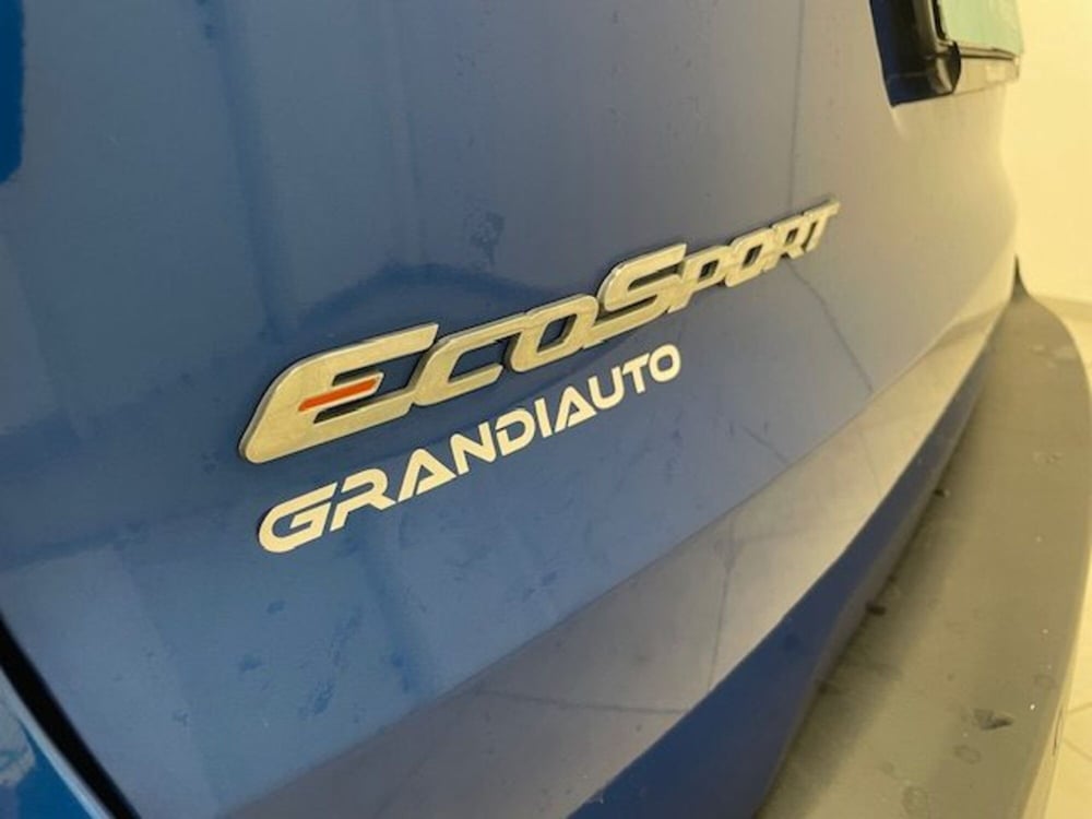 Ford EcoSport usata a Alessandria (20)