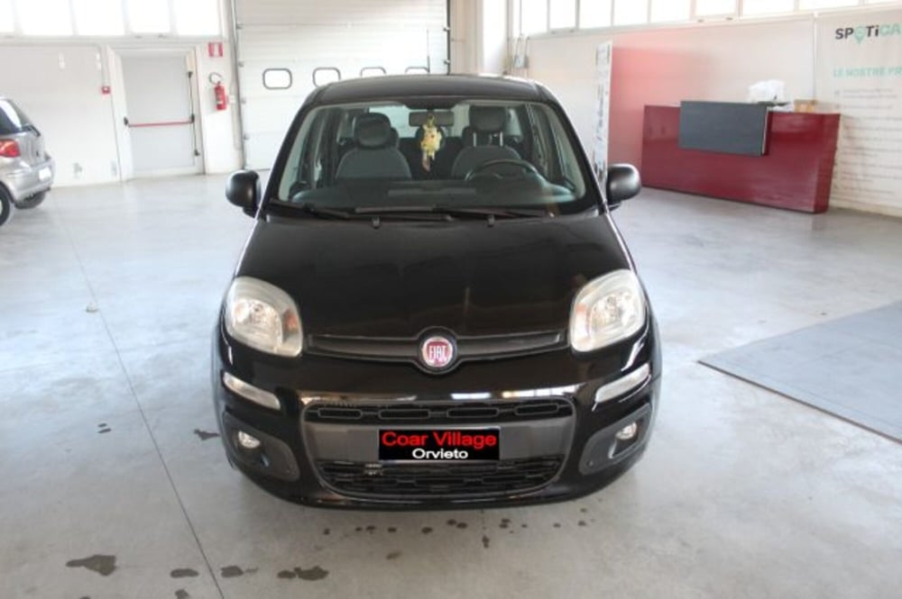 Fiat Panda usata a Terni (2)