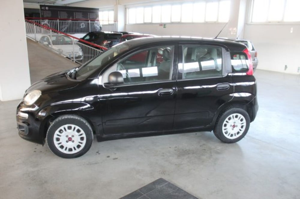 Fiat Panda usata a Terni (3)