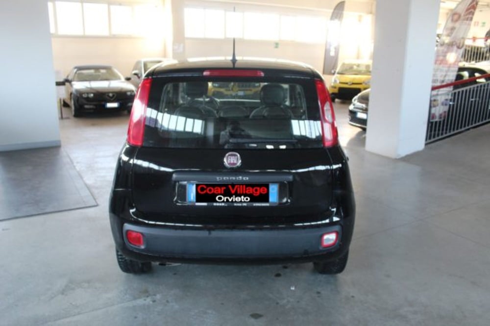 Fiat Panda usata a Terni (5)