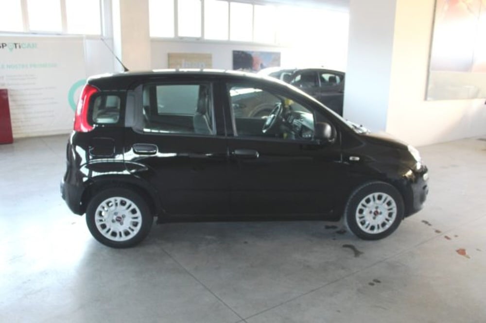 Fiat Panda usata a Terni (6)