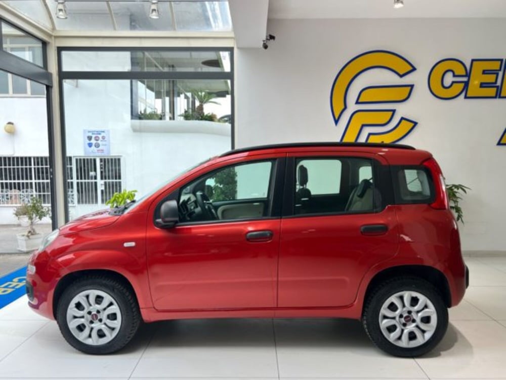 Fiat Panda usata a Napoli (3)