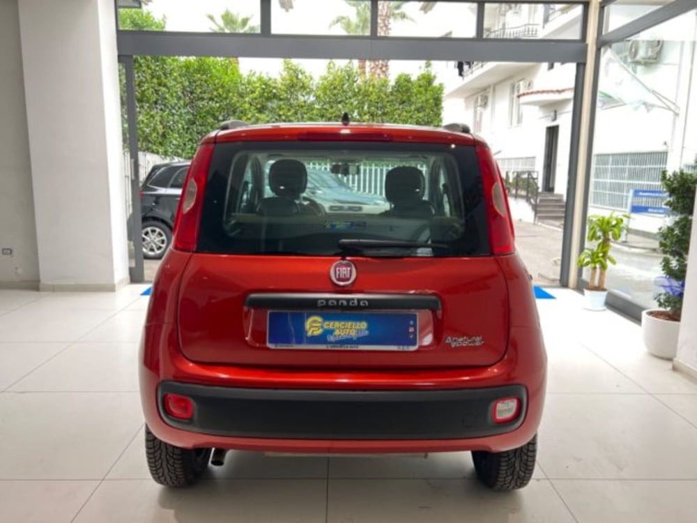 Fiat Panda usata a Napoli (6)