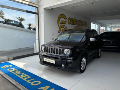 Jeep Renegade 1.0 T3 Business  del 2022 usata a Somma Vesuviana