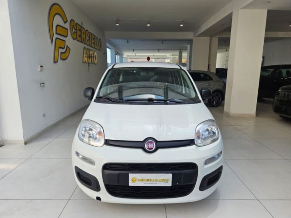 Fiat Panda usata a Napoli (2)