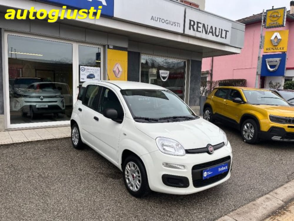 Fiat Panda usata a Belluno