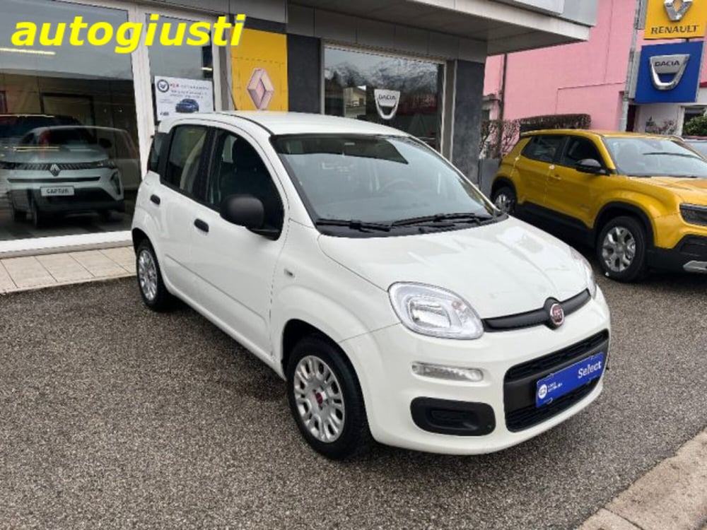 Fiat Panda usata a Belluno (2)